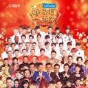 2017江苏卫视春节联欢晚会