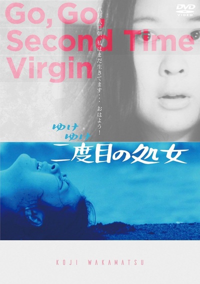 永远的处女的海报-正式海报