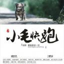 小毛快跑