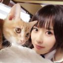 王子清