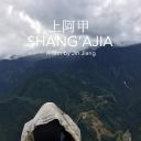 上阿甲
