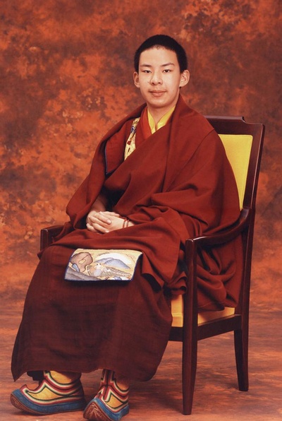 凤凰大视野 第十一世班禅额尔德尼·确吉杰布的海报-正式海报
