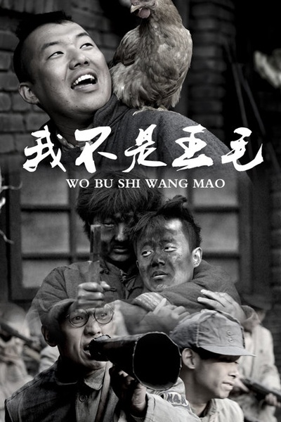 我不是王毛的海报-预告海报 中国大陆
