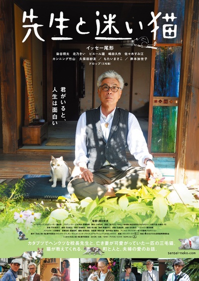 老师与流浪猫的海报-正式海报(日本)