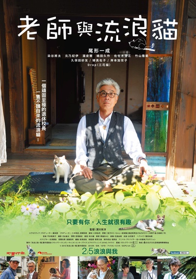 老师与流浪猫的海报-正式海报 台湾