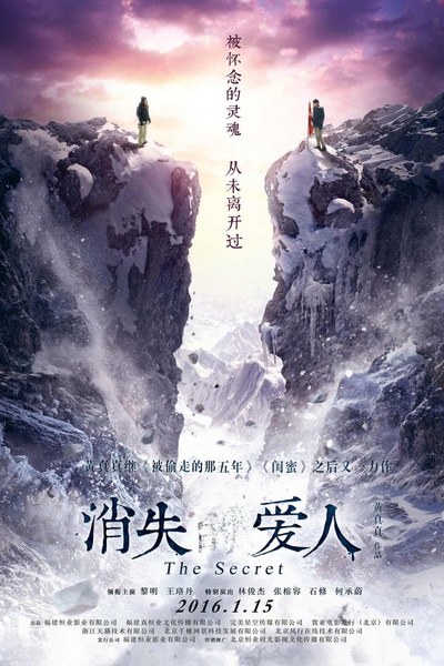 消失爱人的海报-正式海报