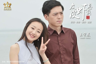 皮皮虾总裁的海报-预告海报 中国大陆