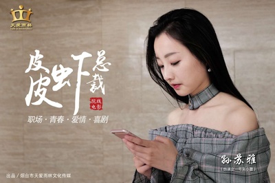 皮皮虾总裁的海报-预告海报 中国大陆
