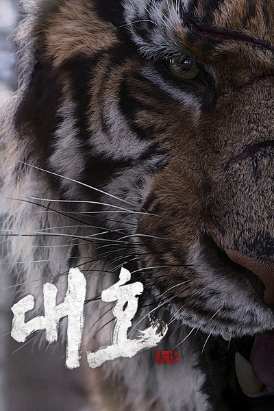大虎的海报-其他海报