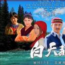 白天鹅