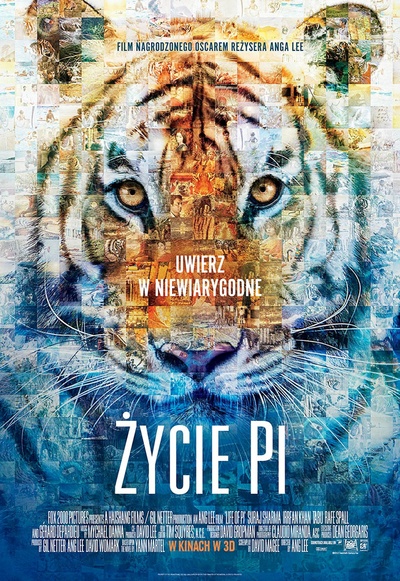 少年派的奇幻漂流的海报-正式海报 波兰