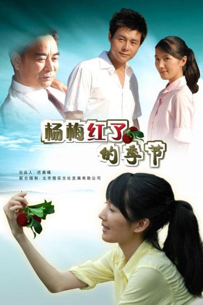 杨梅红了的季节的海报-正式海报