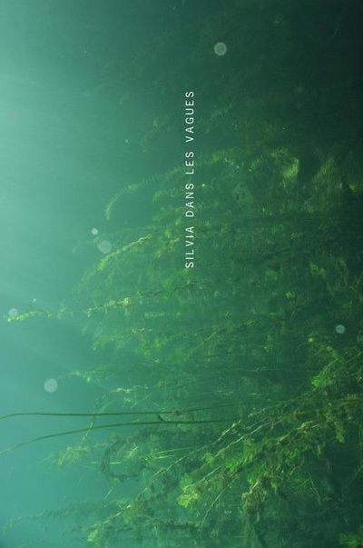 浪花中的西尔维娅的海报-正式海报