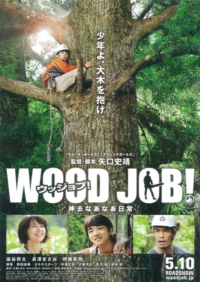 哪啊哪啊神去村的海报-正式海报 日本