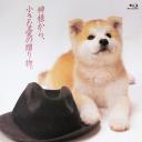 忠犬八公物语