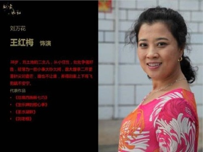 刘家媳妇的海报-其他海报 中国大陆