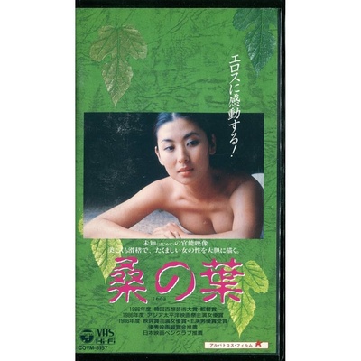 桑叶的海报-正式海报