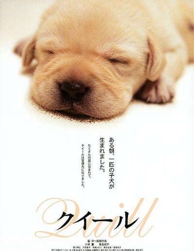 导盲犬小Q的海报-正式海报 日本