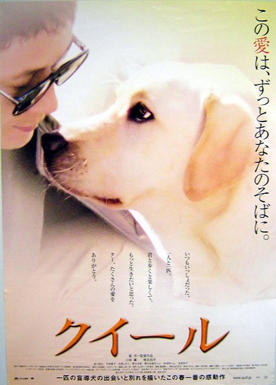 导盲犬小Q的海报-正式海报