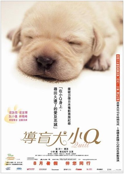 导盲犬小Q的海报-正式海报