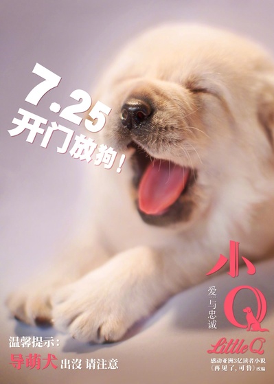 导盲犬小Q的海报-正式海报