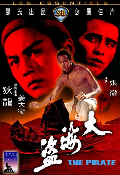 大海盗的海报-正式海报
