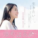 夢はるか