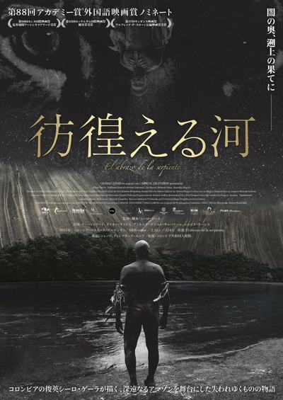 蛇之拥抱的海报-正式海报 日本