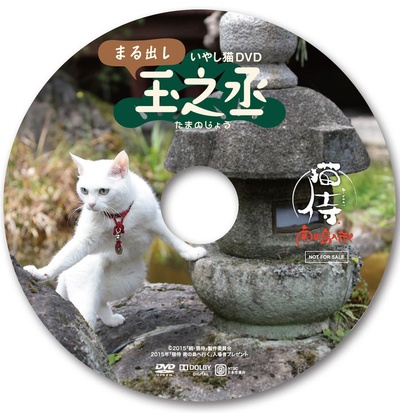 猫侍 前往南之岛的海报-其他海报