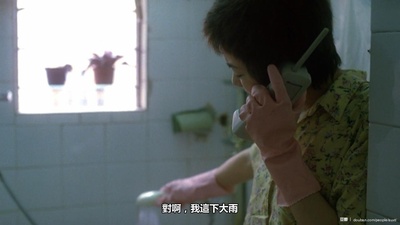 王菲的写真