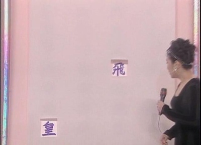 王菲的写真