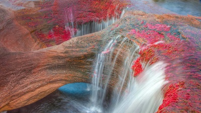 (20161103)的图片-马卡雷纳山脉的五色河，哥伦比亚 (© Tom Till/Alamy)