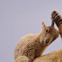 (20170618)