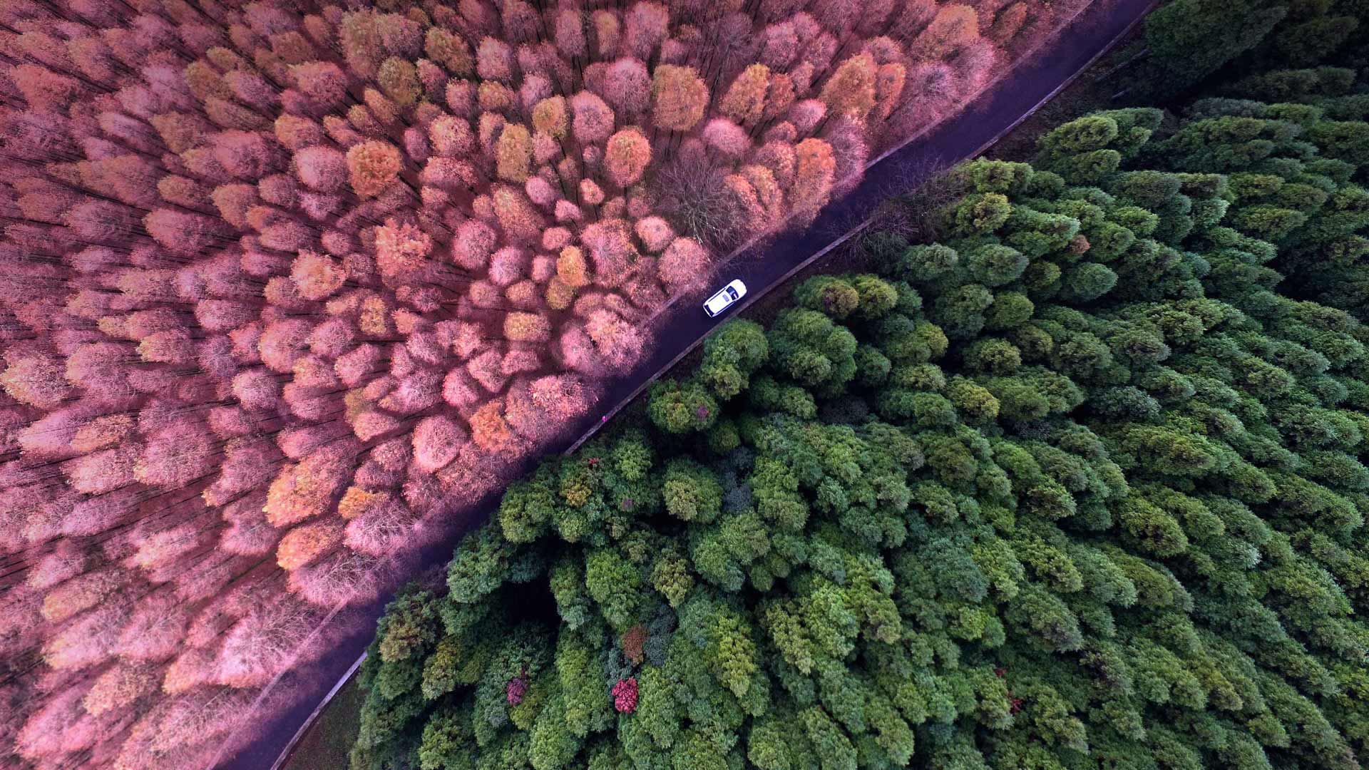 (20171102)的图片-重庆郊区的山王坪喀斯特国家生态公园，中国 (© Chen Chao/Getty Images)