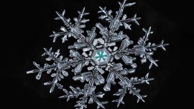 (20171218)的图片-一片雪花 (© Don Komarechka/Science Photo Library)