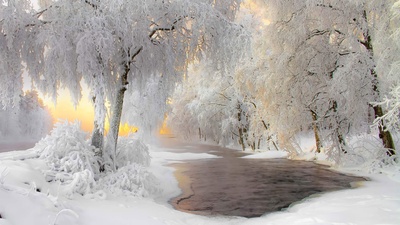 (20180128)的图片-库赫莫附近的冬日美景，芬兰 (© Ville Heikkinen/iStock/Getty Images Plus)