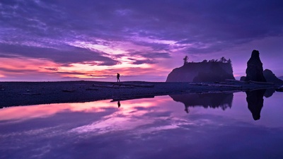 (20180429)的图片-奥林匹克国家公园的红宝石海滩， 美国华盛顿州 (© Jason Savage/Tandem Stills + Motion)