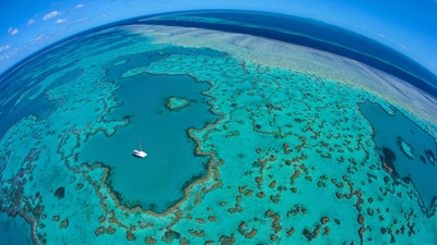 (20180611)的图片-大堡礁，澳大利亚昆士兰州 (© Dick Sweeney/Gallery Stock)