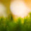 (20180615)