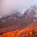 (20181101)