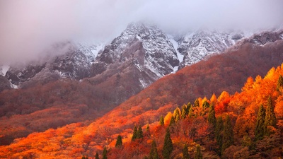 (20181101)的图片-大山，日本神奈川县 (© Katsuhiro Yamanashi/Getty Images)