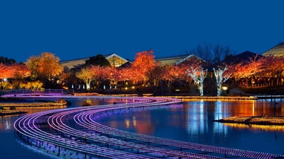 (20181220)的图片-名花之里冬季彩灯展，日本桑名市 (© Julian Krakowiak/Alamy)