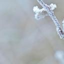(20190103)
