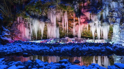 (20190213)的图片-彩色灯光下的冰柱，日本秩父市 (© JTB Photo/UIG/age fotostock)