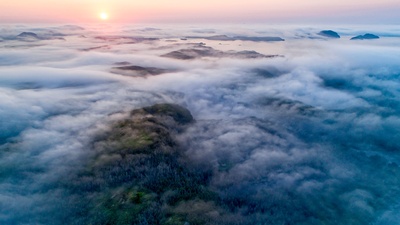 沿海的雾，加拿大纽芬兰 (© Scott Leslie/Minden Pictures)(20190528)的图片-沿海的雾，加拿大纽芬兰 (© Scott Leslie/Minden Pictures)