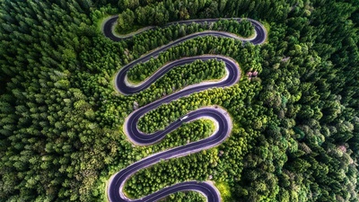 特兰西瓦尼亚的川斯发格拉山公路，罗马尼亚 (© Calin Stan/Shutterstock)(20190703)的图片-特兰西瓦尼亚的川斯发格拉山公路，罗马尼亚 (© Calin Stan/Shutterstock)