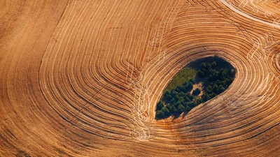 华盛顿州帕卢斯地区的农田 (© Art Wolfe/Getty Images)(20190823)的图片-华盛顿州帕卢斯地区的农田 (© Art Wolfe/Getty Images)