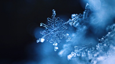 雪花 (© TothGaborGyula/Getty Images Plus)(20191221)的图片-雪花 (© TothGaborGyula/Getty Images Plus)