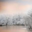 池塘边结了冰的树 (© Philippe Sainte-Laudy Photography/Getty Images)(20191227)