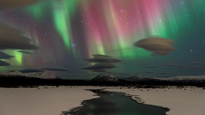 育空怀特霍斯附近的北极光，加拿大 (© Design Pics/Danita Delimont)(20200122)的图片-育空怀特霍斯附近的北极光，加拿大 (© Design Pics/Danita Delimont)